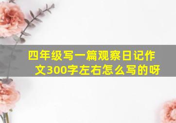 四年级写一篇观察日记作文300字左右怎么写的呀