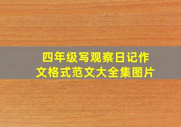 四年级写观察日记作文格式范文大全集图片