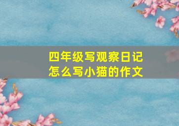 四年级写观察日记怎么写小猫的作文