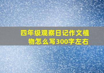 四年级观察日记作文植物怎么写300字左右