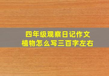 四年级观察日记作文植物怎么写三百字左右