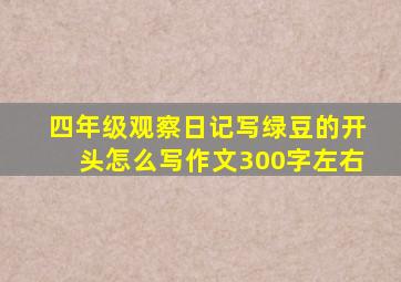 四年级观察日记写绿豆的开头怎么写作文300字左右