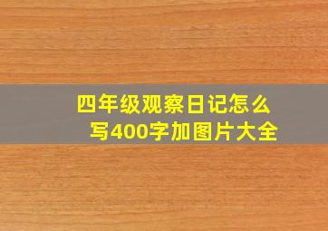 四年级观察日记怎么写400字加图片大全