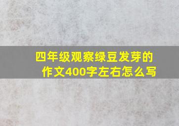 四年级观察绿豆发芽的作文400字左右怎么写