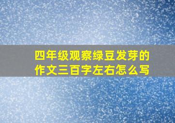 四年级观察绿豆发芽的作文三百字左右怎么写