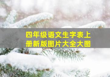 四年级语文生字表上册新版图片大全大图