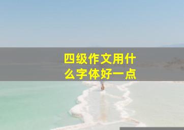 四级作文用什么字体好一点