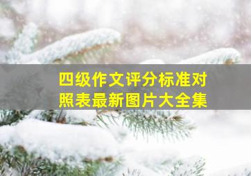 四级作文评分标准对照表最新图片大全集