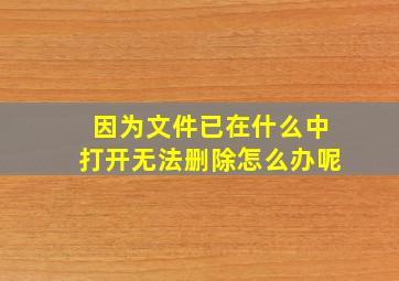 因为文件已在什么中打开无法删除怎么办呢