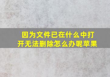 因为文件已在什么中打开无法删除怎么办呢苹果