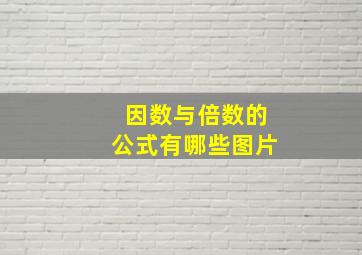 因数与倍数的公式有哪些图片