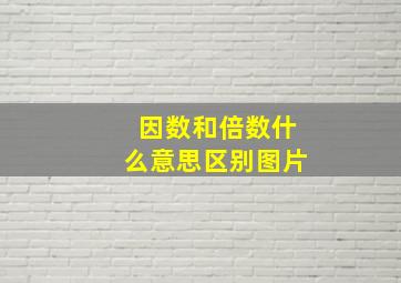 因数和倍数什么意思区别图片