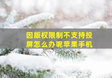 因版权限制不支持投屏怎么办呢苹果手机