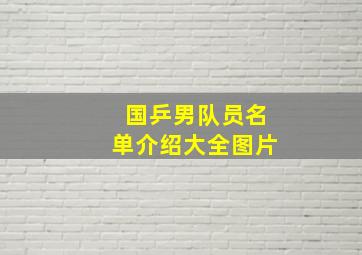 国乒男队员名单介绍大全图片