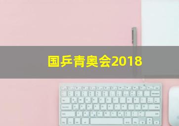 国乒青奥会2018