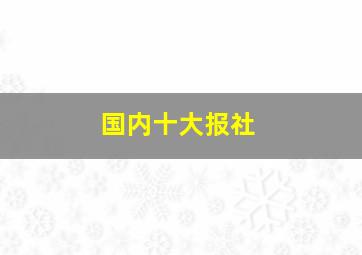 国内十大报社