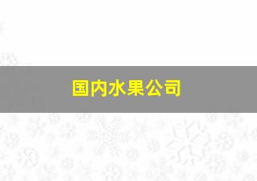 国内水果公司