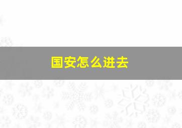 国安怎么进去