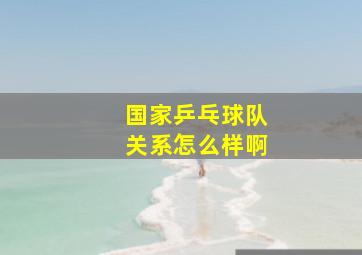 国家乒乓球队关系怎么样啊