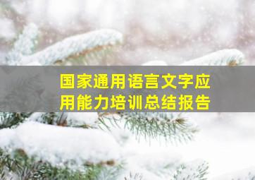 国家通用语言文字应用能力培训总结报告