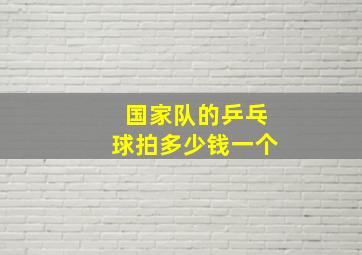 国家队的乒乓球拍多少钱一个