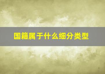 国籍属于什么细分类型