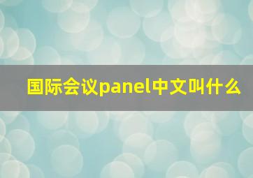 国际会议panel中文叫什么