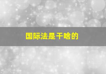 国际法是干啥的