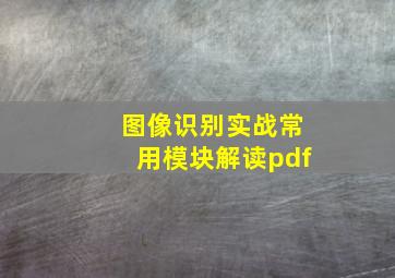 图像识别实战常用模块解读pdf