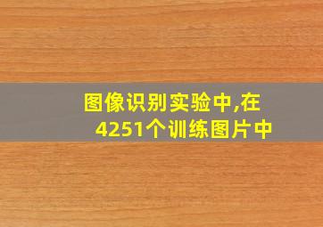 图像识别实验中,在4251个训练图片中