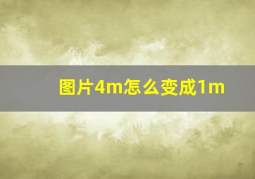 图片4m怎么变成1m