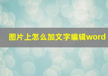 图片上怎么加文字编辑word