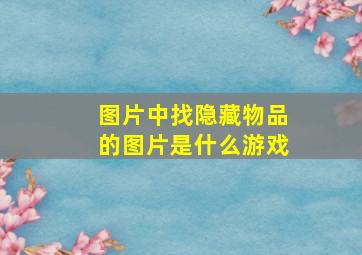 图片中找隐藏物品的图片是什么游戏