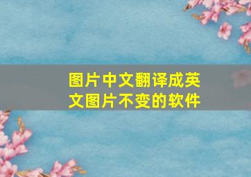 图片中文翻译成英文图片不变的软件