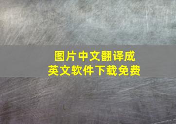 图片中文翻译成英文软件下载免费