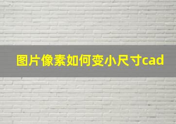 图片像素如何变小尺寸cad