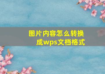 图片内容怎么转换成wps文档格式