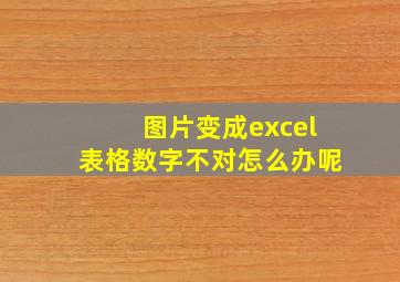 图片变成excel表格数字不对怎么办呢