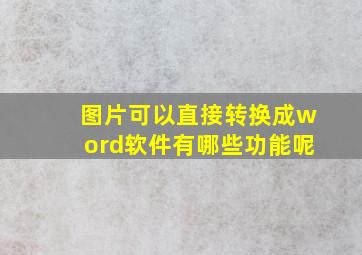 图片可以直接转换成word软件有哪些功能呢