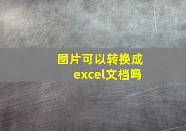 图片可以转换成excel文档吗