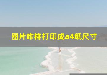 图片咋样打印成a4纸尺寸