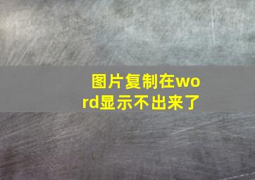 图片复制在word显示不出来了