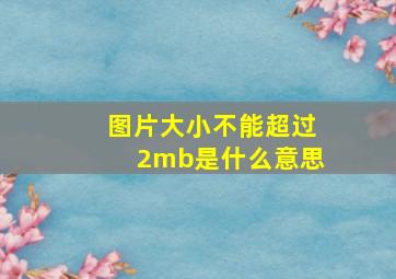 图片大小不能超过2mb是什么意思