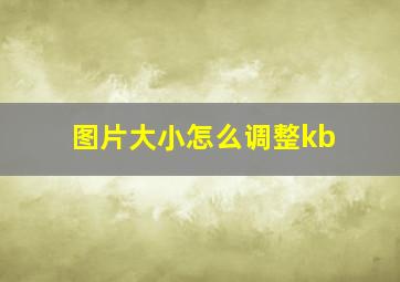 图片大小怎么调整kb