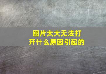 图片太大无法打开什么原因引起的