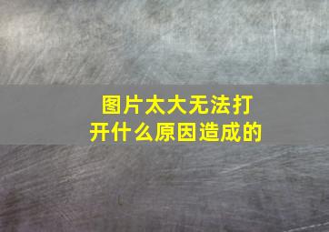 图片太大无法打开什么原因造成的