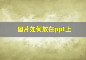 图片如何放在ppt上