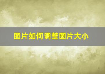 图片如何调整图片大小