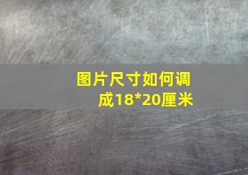 图片尺寸如何调成18*20厘米