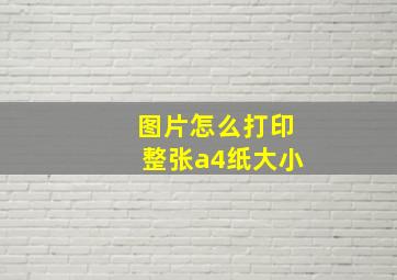 图片怎么打印整张a4纸大小